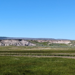 PXL_20230719_160125856.jpg