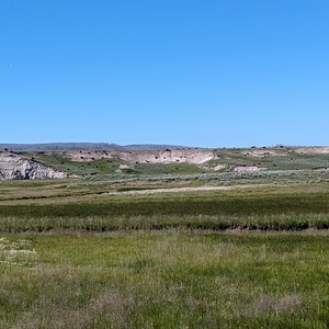 PXL_20230719_160132332.jpg