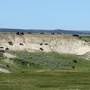 PXL_20230719_160256824.jpg