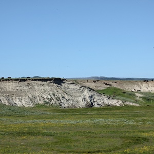 PXL_20230719_160349002.jpg