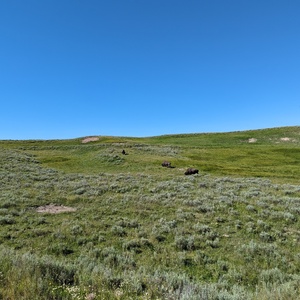 PXL_20230719_161059393.jpg