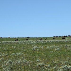 PXL_20230719_161133855.jpg