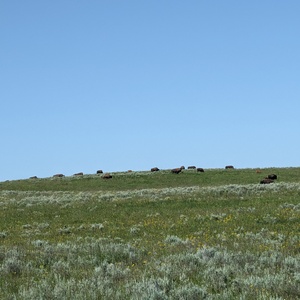 PXL_20230719_161136283.jpg