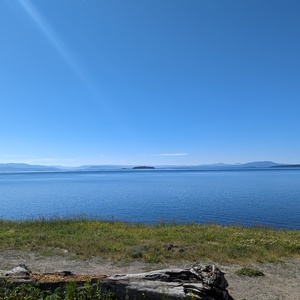 PXL_20230719_163146301.jpg