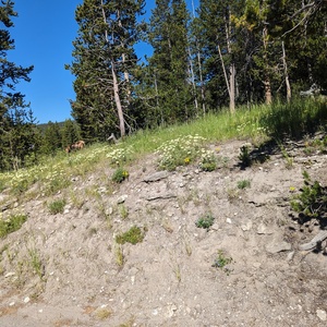 PXL_20230719_163826907.jpg