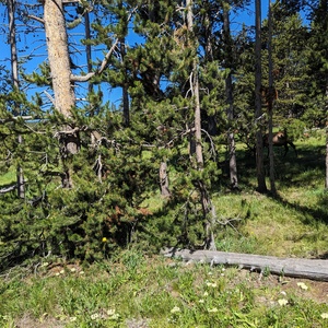 PXL_20230719_163849654.jpg