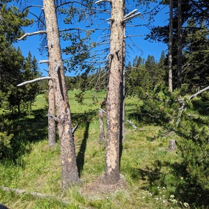PXL_20230719_163852634.jpg