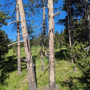 PXL_20230719_163853477.jpg