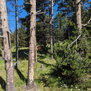 PXL_20230719_163857945.jpg