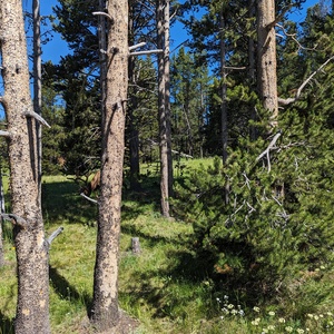 PXL_20230719_163858460.jpg