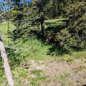 PXL_20230719_164024846.jpg