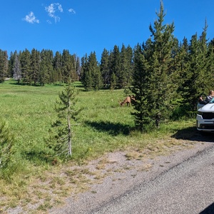 PXL_20230719_164113340.jpg