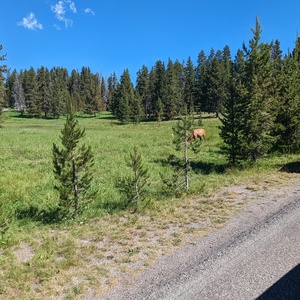 PXL_20230719_164114886.jpg