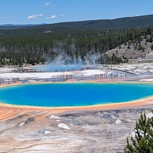 PXL_20230719_201329247.jpg