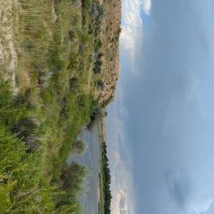 PXL_20230720_194752075.PANO.jpg