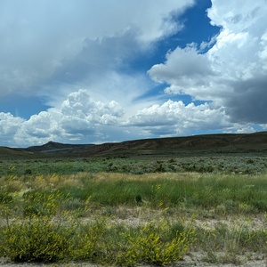 PXL_20230720_195512850.jpg