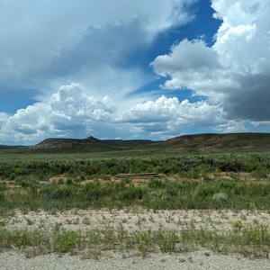 PXL_20230720_195537978.jpg