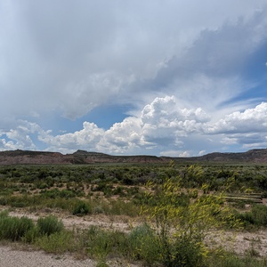 PXL_20230720_195620783.jpg