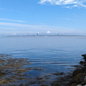 PXL_20230826_141850317.jpg