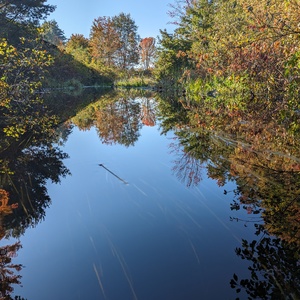 PXL_20231004_131548136.jpg