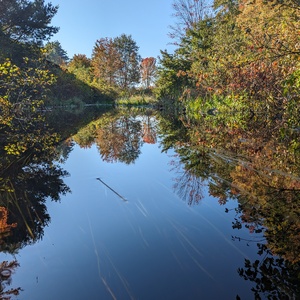 PXL_20231004_131549645.jpg