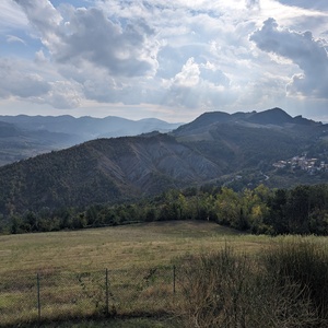 PXL_20231015_131222891.jpg