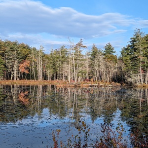PXL_20231025_130103741.jpg