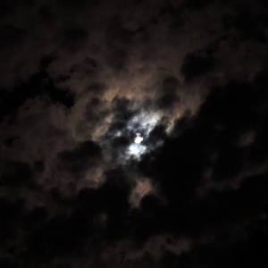 PXL_20231028_002646682.jpg
