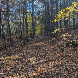 PXL_20231028_162619288.jpg