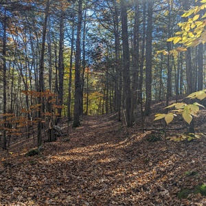 PXL_20231028_162627358.jpg