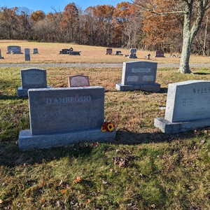 PXL_20231113_191331550.jpg