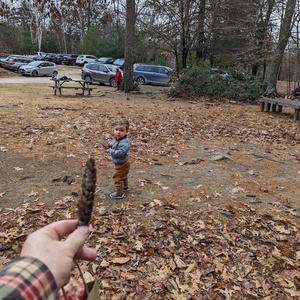 PXL_20231202_160745275.jpg