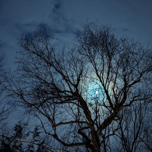 PXL_20240101_112353360.NIGHT.jpg