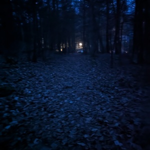 PXL_20240104_113559542.NIGHT.jpg