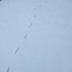 PXL_20240117_123741204.jpg