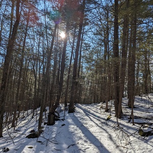 PXL_20240406_123757409.jpg