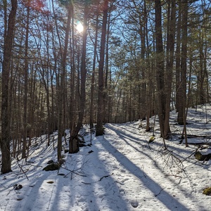 PXL_20240406_123801101.jpg
