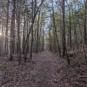 PXL_20240413_110335014.jpg