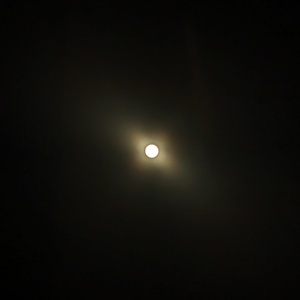 PXL_20240407_214053133.NIGHT.jpg