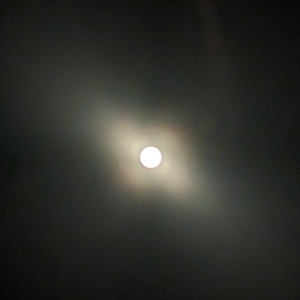 PXL_20240407_214140607.NIGHT.jpg