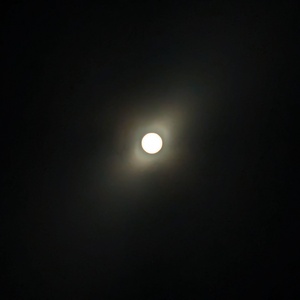 PXL_20240408_112851659.jpg