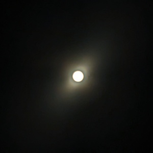 PXL_20240408_112908041.jpg