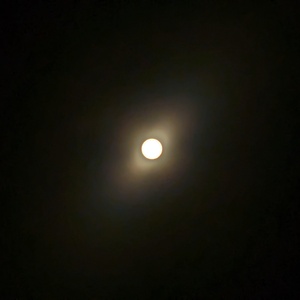 PXL_20240408_112911857.jpg