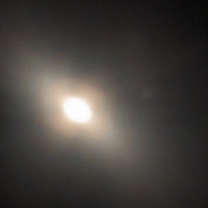PXL_20240408_171805693.jpg