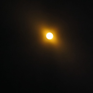 PXL_20240408_181133198.jpg