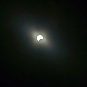 PXL_20240408_184656464.jpg