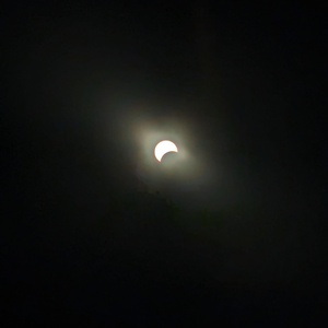 PXL_20240408_185622488.jpg