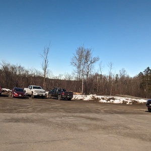 PXL_20240408_193104965.jpg