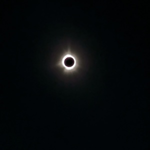 PXL_20240408_193228216.jpg