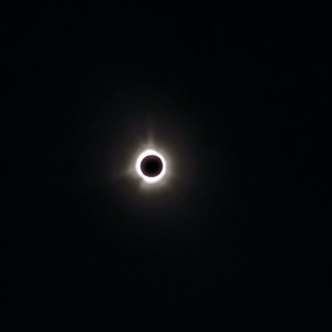 PXL_20240408_193235220.jpg